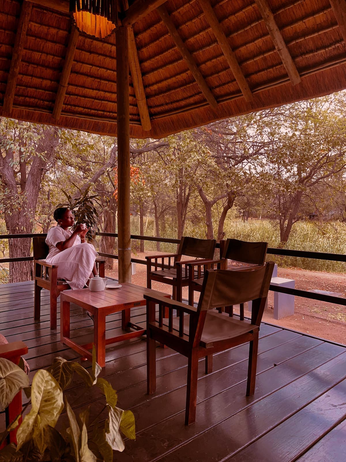 Bush Villas accommodatie